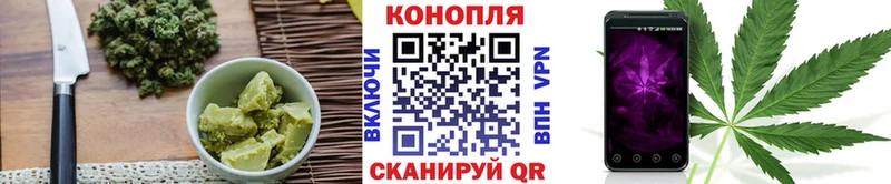 shop клад  Новое Девяткино  Cannafood конопля 