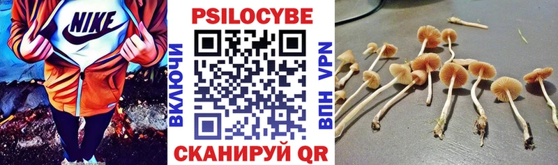 Псилоцибиновые грибы прущие грибы  как найти закладки  blacksprut как зайти  Новое Девяткино 