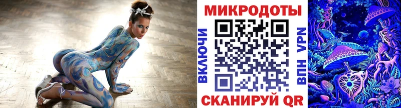 Псилоцибиновые грибы Psilocybe Новое Девяткино